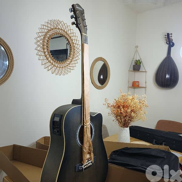 guitar electro accoustic 2