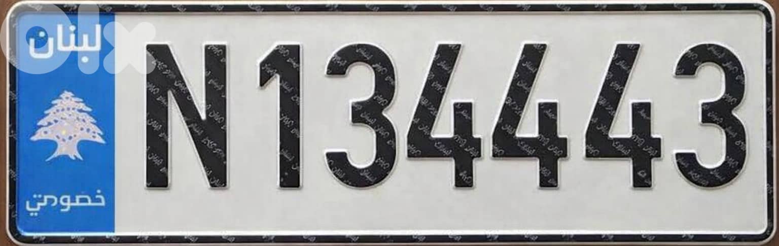 Special Car Plate- N 134443 1