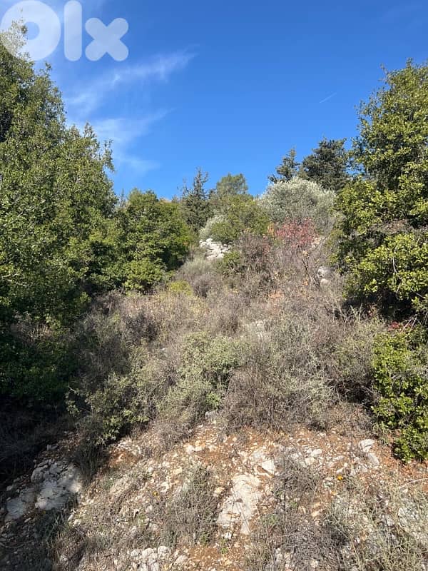 ارض للبيع 1