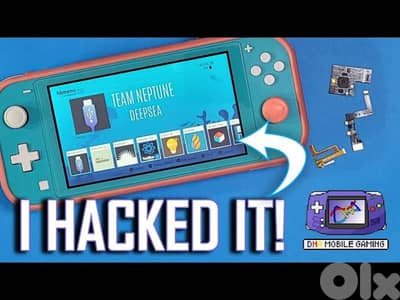 Modded Switch Lite Hacked