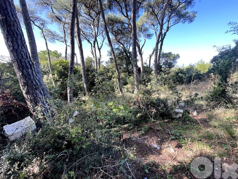 RWK180JA - Land for sale in Dlebta 5