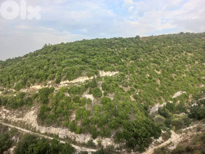 RWB543EA - Core and shell building with land for sale in Bouar 1