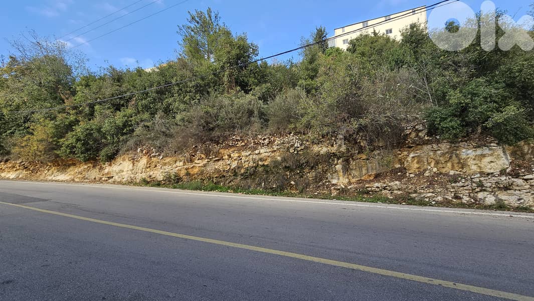 RWB541EA - Land for sale in Maaysrah Nahr Ibrahim 1