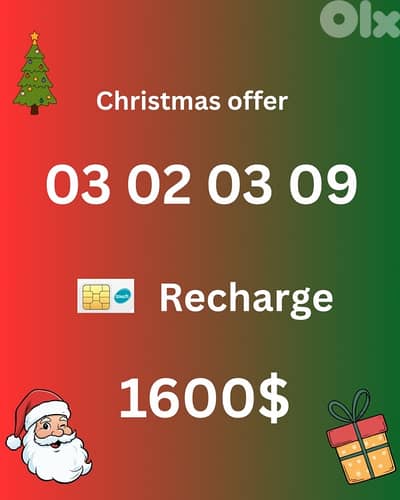 Christmas offer (Final Price)