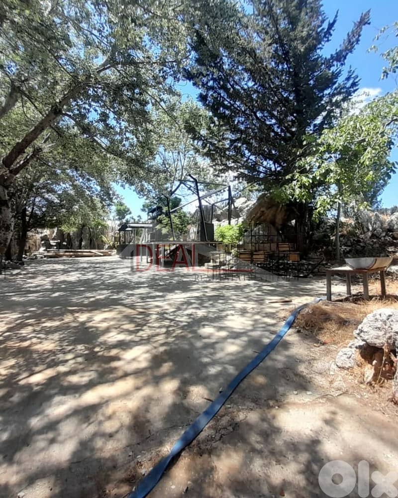 Land for sale in Mayrouba عقار للبيع في ميروبا 2