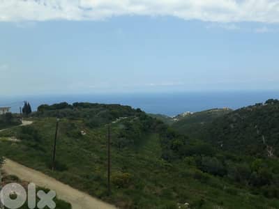 land for sale in chmout jbeil أرض للبيع في شموت جبيل