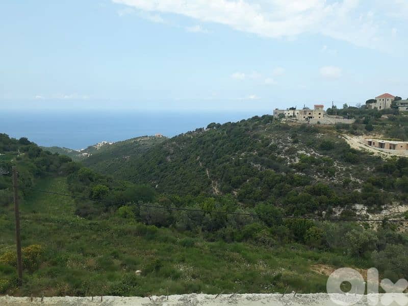 land for sale in chmout jbeil أرض للبيع في شموت جبيل 1