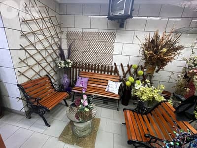 liquidation تصفيات-plants, vases , اسعار جملة . زينة اعراس،