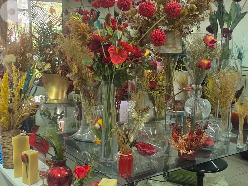 liquidation تصفيات-plants, vases , اسعار جملة . زينة اعراس، 3