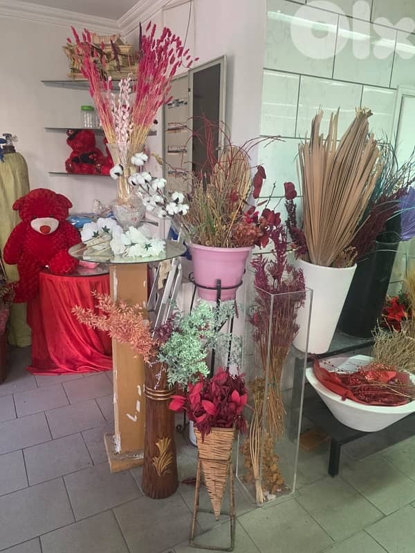 liquidation تصفيات-plants, vases , اسعار جملة . زينة اعراس، 9