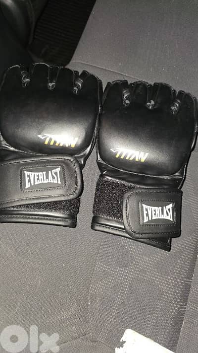 MMA gloves Everlast original condition New