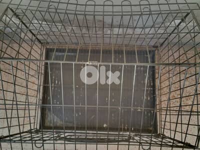 عين الرمانة  بيروت