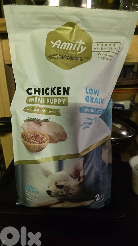 chihuahua puppy for sale 5