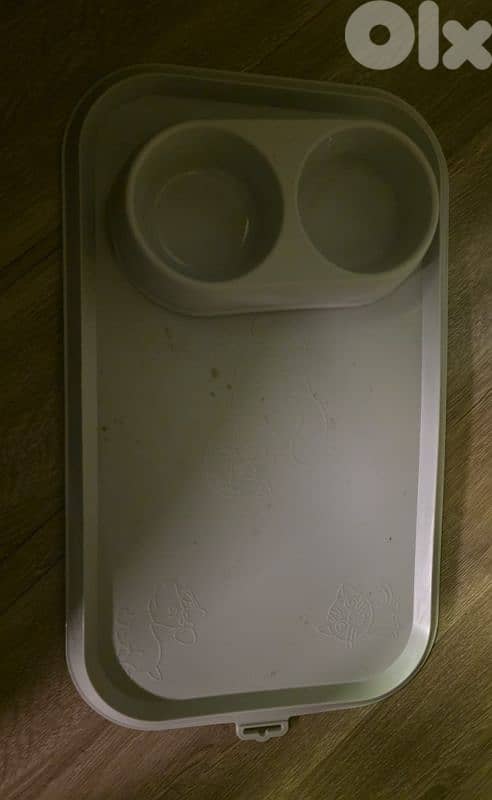 chihuahua puppy for sale 7