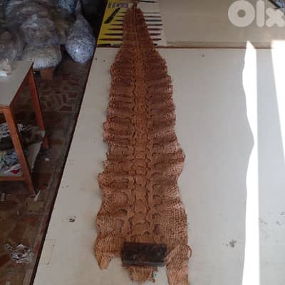 natural snake leather