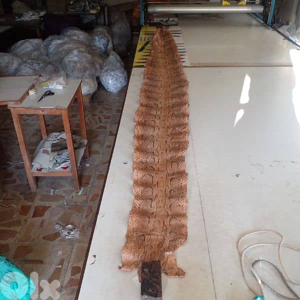 natural snake leather 1