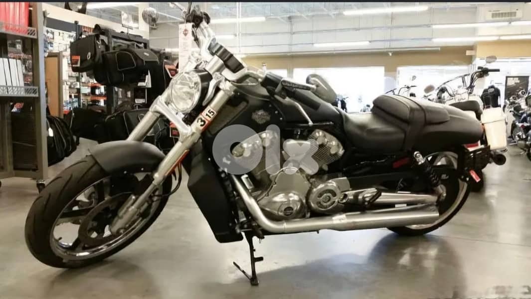 2012 Harley-Davidson V-rod muscle 3