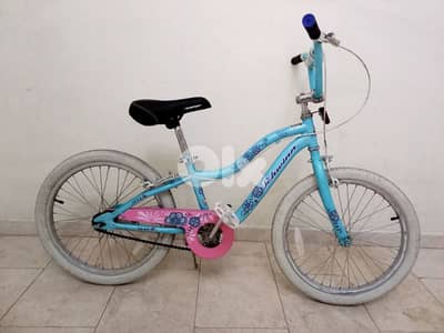 بسكليت schwinn usa