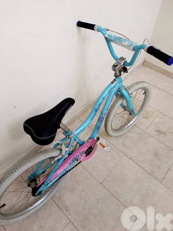 بسكليت schwinn usa 2