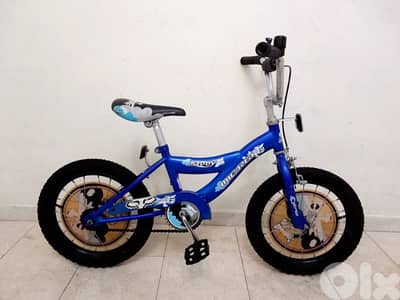 بسكليت اوروبي