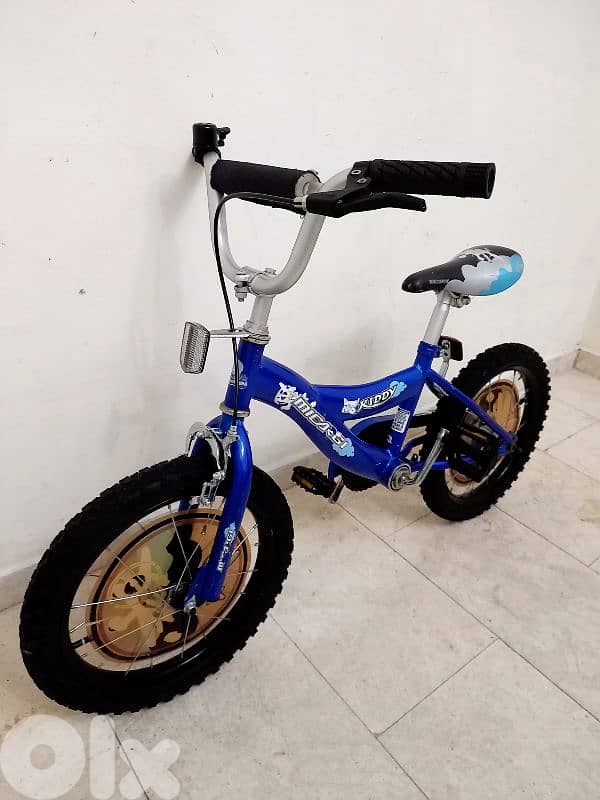 بسكليت اوروبي 2