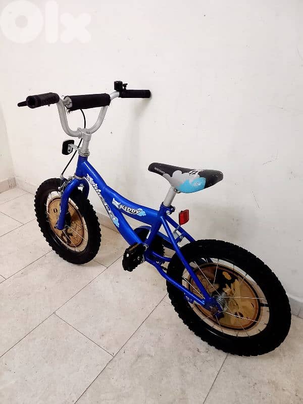 بسكليت اوروبي 3