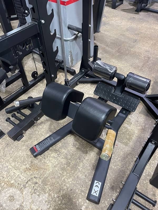 Back extension new 1