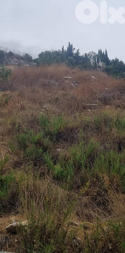 Land for sale in Mazraat Yachouh - أرض للبيع في مزرعة يشوع