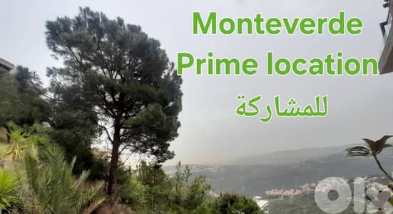 أرض للبيع أو للمشاركة في المونتيفردي Land for sale in Monteverde