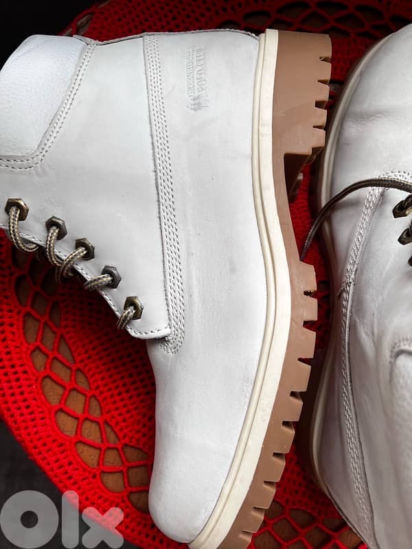 POLO CLUB NEW IN TAG 8