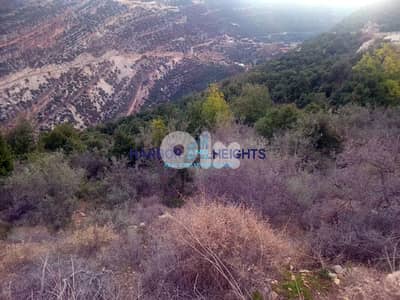 Land for sale in Daael, batroun أرض للبيع في دعبل، باترون