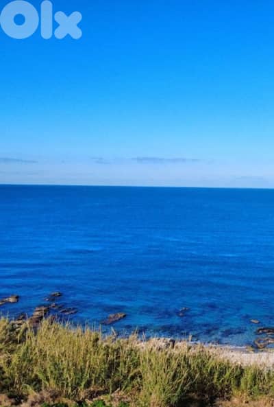 Land on the Beach أرض على شاطيء البحر