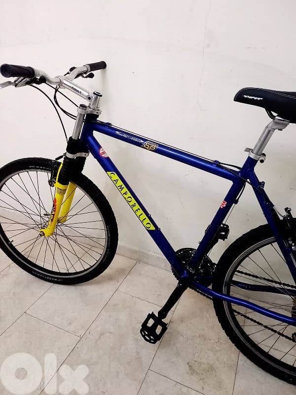 بسكليت Germany 6