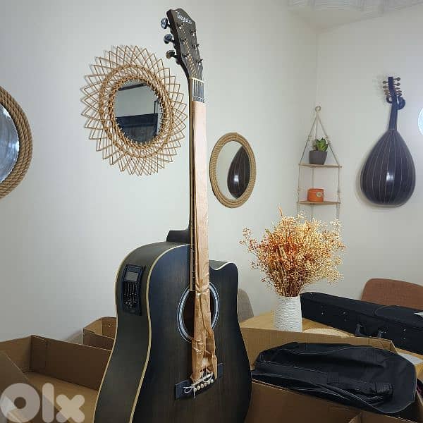 guitar electro acciustic 2