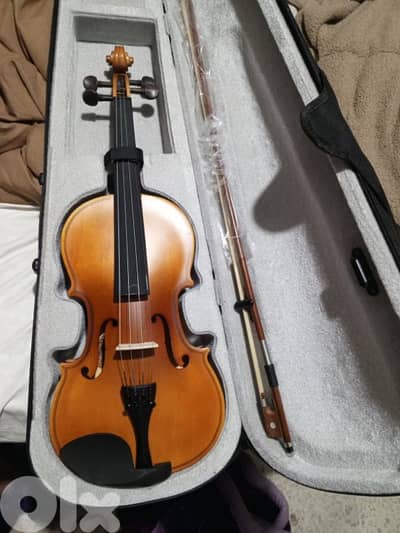 violin