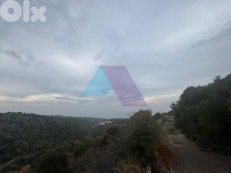 1020m2 Catchy land+mountain view4sale in Berbara/Jbeil - أرض في بربارا 1