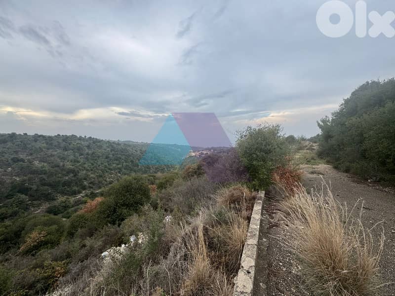 1020m2 Catchy land+mountain view4sale in Berbara/Jbeil - أرض في بربارا 2