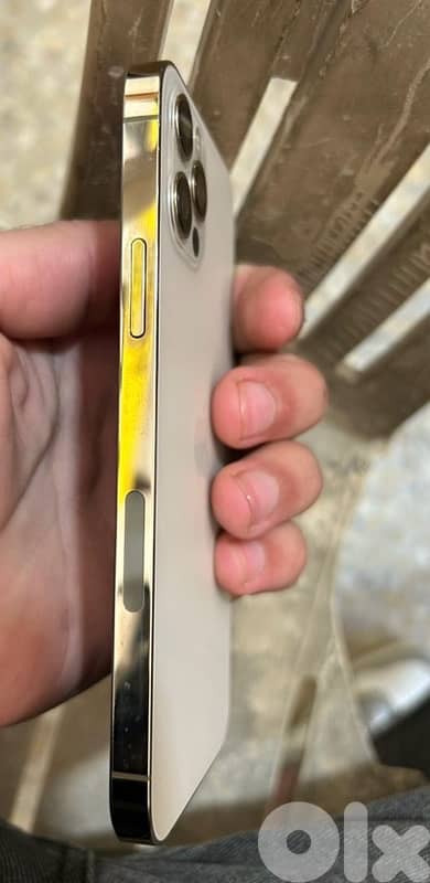 iphone 14 + 12 pro 2