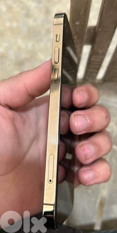 iphone 14 + 12 pro 6