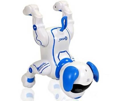 Stubt Robot Dog