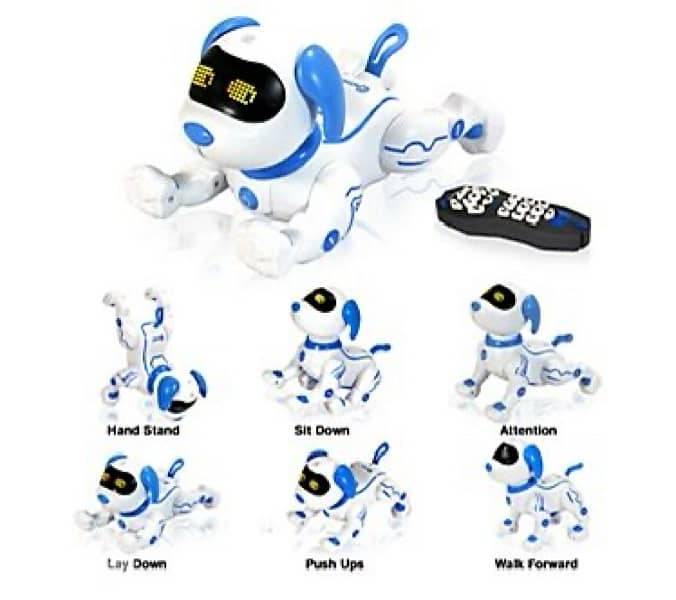 Stubt Robot Dog 1
