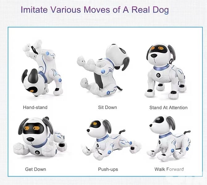 Stubt Robot Dog 6