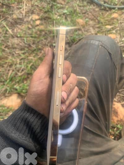 iphone 12 pro max 256gb
