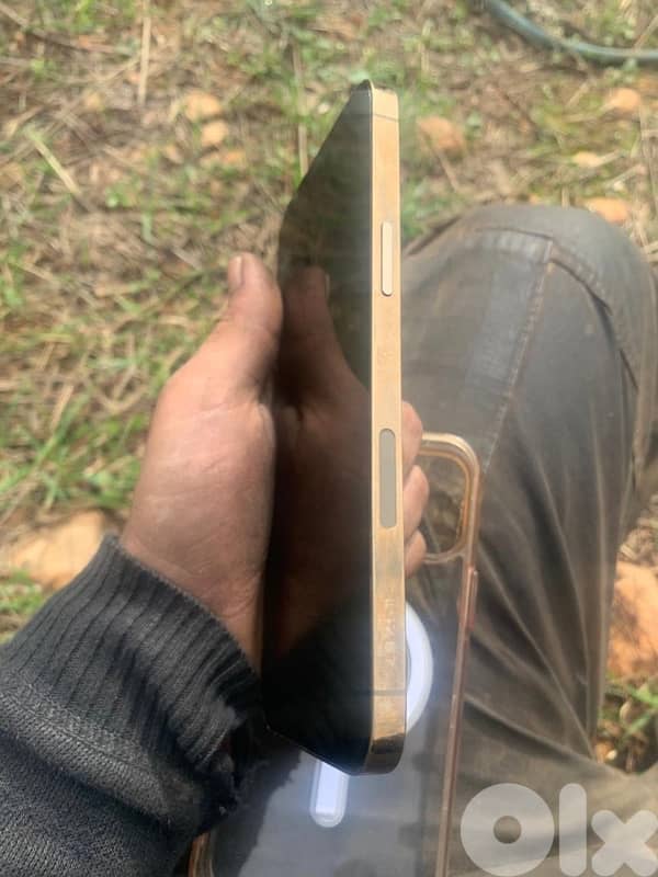 iphone 12 pro max 256gb 1