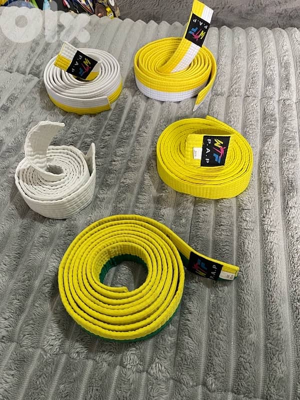 taekwondo full set 12