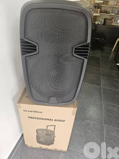 speaker with 2 micro