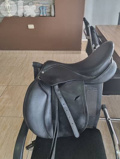 عدة ركوب وعناية بالخيل