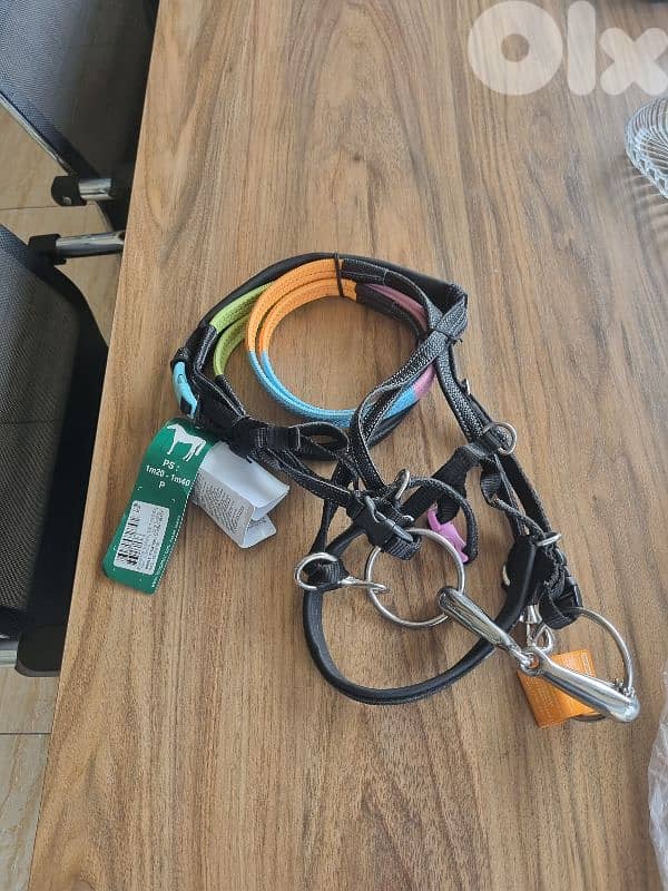 عدة ركوب وعناية بالخيل horse equipment 7