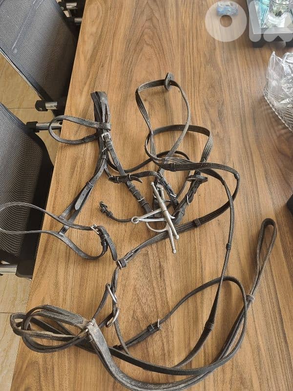 عدة ركوب وعناية بالخيل horse equipment 10