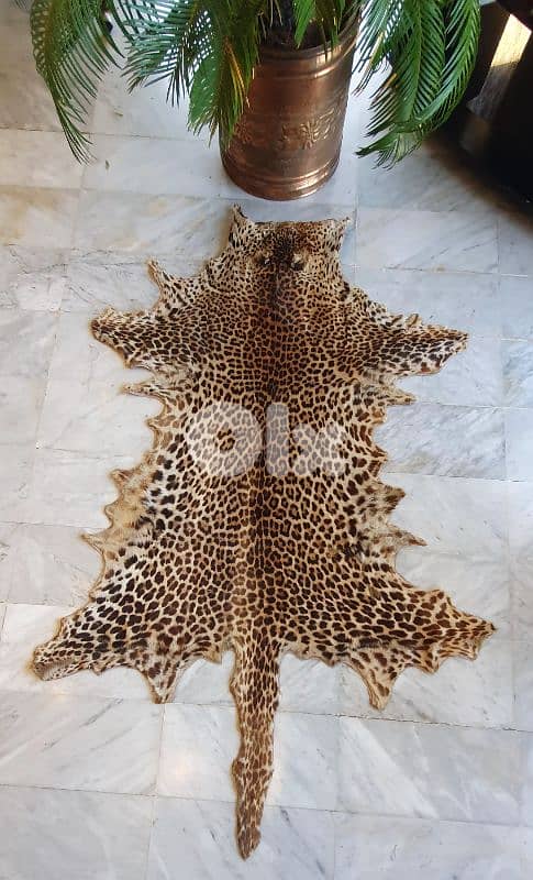 منفضة فيل افريقي خشب ابانوس 2